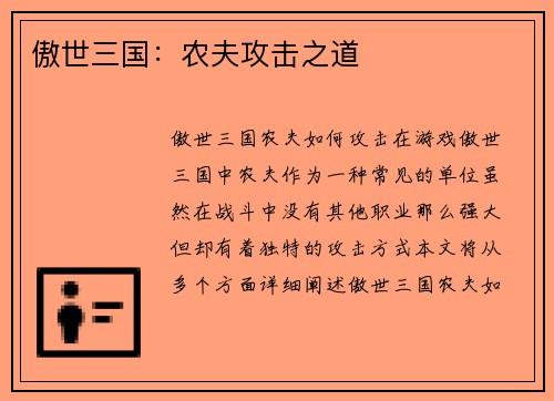 傲世三国：农夫攻击之道